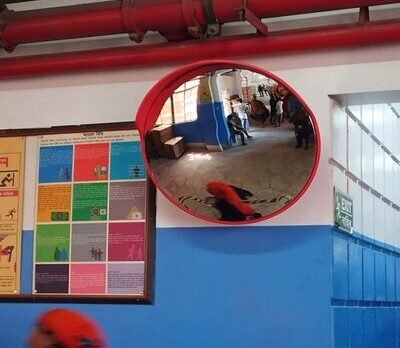 High-quality convex mirror in Bangladesh